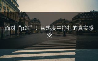 面对“p站”：从热度中挣扎的真实感受