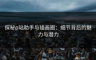 探秘p站助手与插画圈：细节背后的魅力与潜力