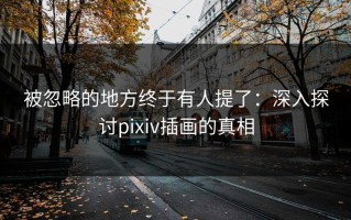 被忽略的地方终于有人提了：深入探讨pixiv插画的真相