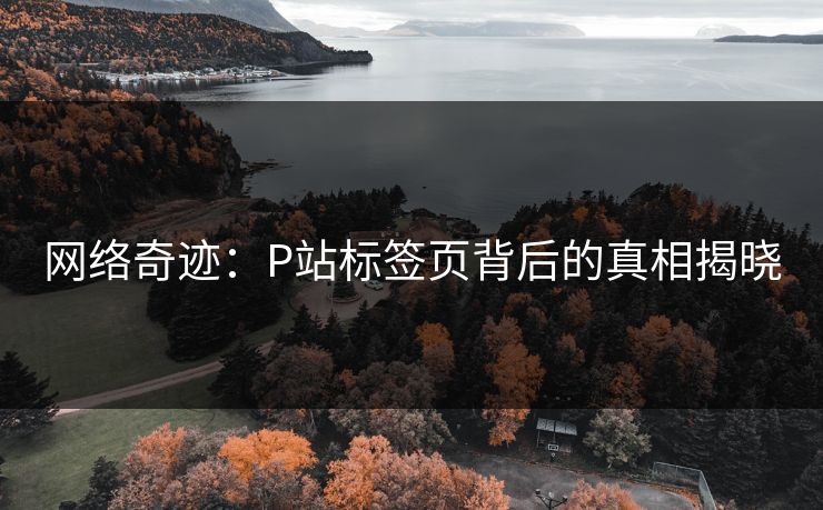 网络奇迹:P站标签页背后的真相揭晓-第1张图片-p站网页版影视网 - p站内容页 网络奇迹:P站标签页背后的真相揭晓-第1张图片-p站网页版影视网 - p站内容页