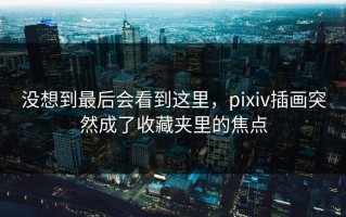 没想到最后会看到这里，pixiv插画突然成了收藏夹里的焦点
