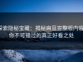 探索隐秘宝藏：揭秘麻豆完整版内容，你不可错过的真正好看之处