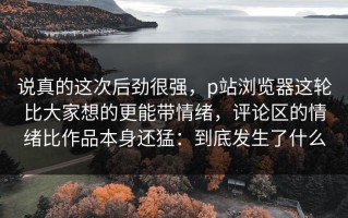 说真的这次后劲很强，p站浏览器这轮比大家想的更能带情绪，评论区的情绪比作品本身还猛：到底发生了什么