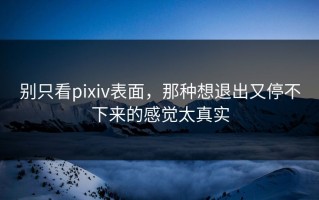 别只看pixiv表面，那种想退出又停不下来的感觉太真实