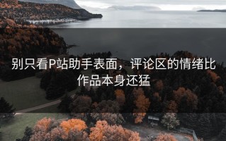 别只看P站助手表面，评论区的情绪比作品本身还猛