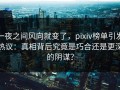 一夜之间风向就变了，pixiv榜单引发热议：真相背后究竟是巧合还是更深的阴谋？